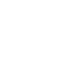 Development history
